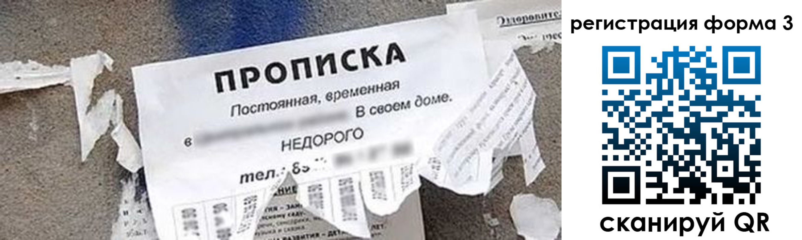 регистрация для школы в Кировске